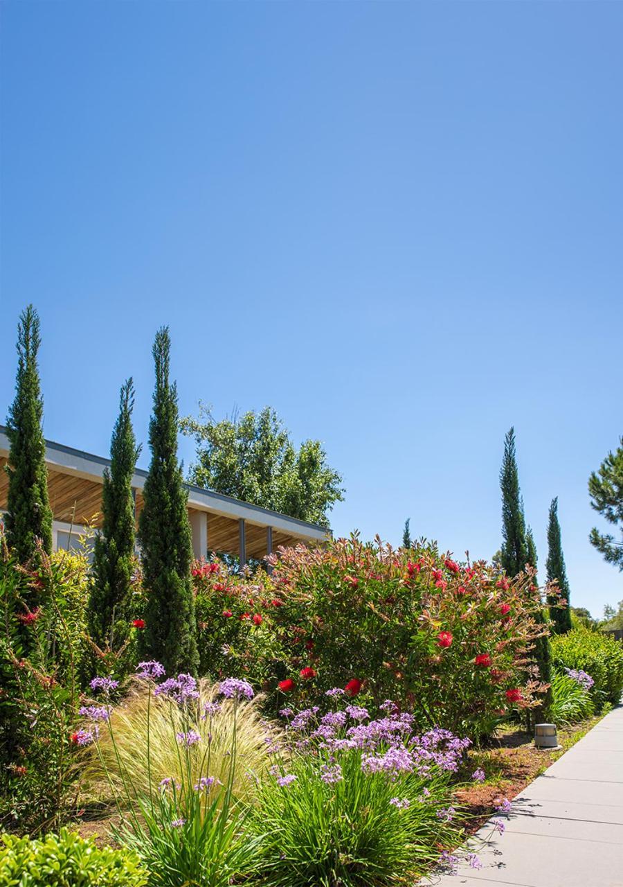 Costa Nera Beach House Porto Vecchio Exterior foto